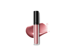 Premium Plumping Lip Gloss