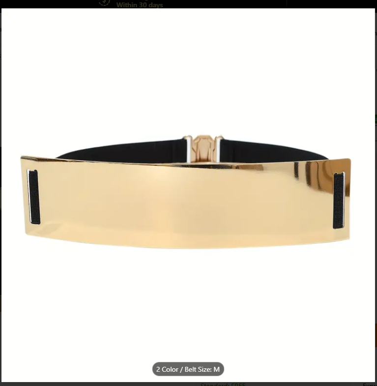Shimmering Metallic Gold  Waistband Belt