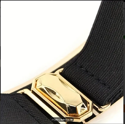 Shimmering Metallic Gold  Waistband Belt