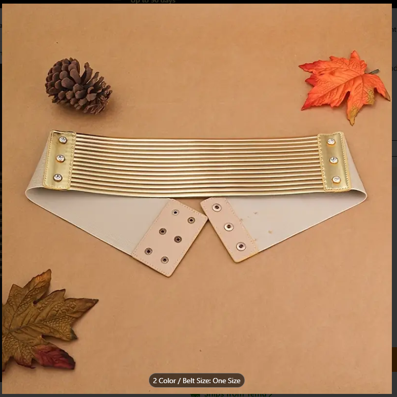 Stylish Golden Silvery Wide Elastic Waistband Belts