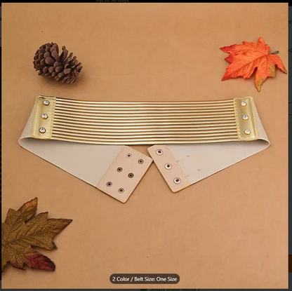 Stylish Golden Silvery Wide Elastic Waistband Belts