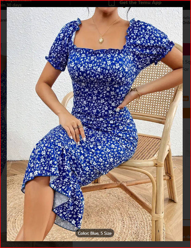 Blue Floral Print Puff Sleeve Ruffle Hem Dress